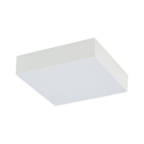 Lid Square LED Nowodvorski-10421 mennyezeti lámpa